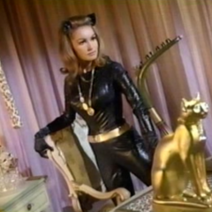 THE GOTHAM TRIBUNE: There is Only One Catwoman
