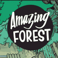 The Amazing Creators of Amazing Forest