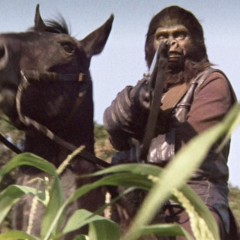 It’s … APES WEEK!