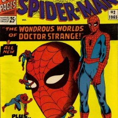 SPIDER-MAN WEEK: 13 Covers by STEVE DITKO