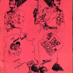 A Marvel Tale of Race in the 1970s, Part 1: by DON McGREGOR