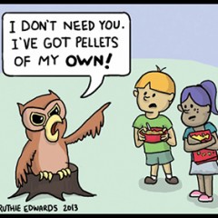 MAKING COMICS: The Critiques, with Colleen AF Venable