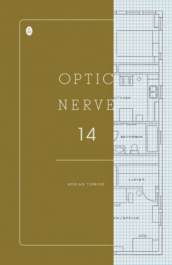 optic_nerve14cover