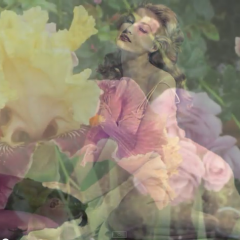 A Tour of JULIE NEWMAR’s Garden