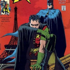 13 COVERS: ROBIN in the MODERN AGE