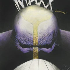 EXCLUSIVE Preview — THE MAXX: Maxximized #27