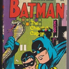 13 COVERS: A BATMAN Anniversary Celebration