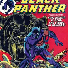 13 BLACK PANTHER COVERS: A DON McGREGOR Birthday Celebration