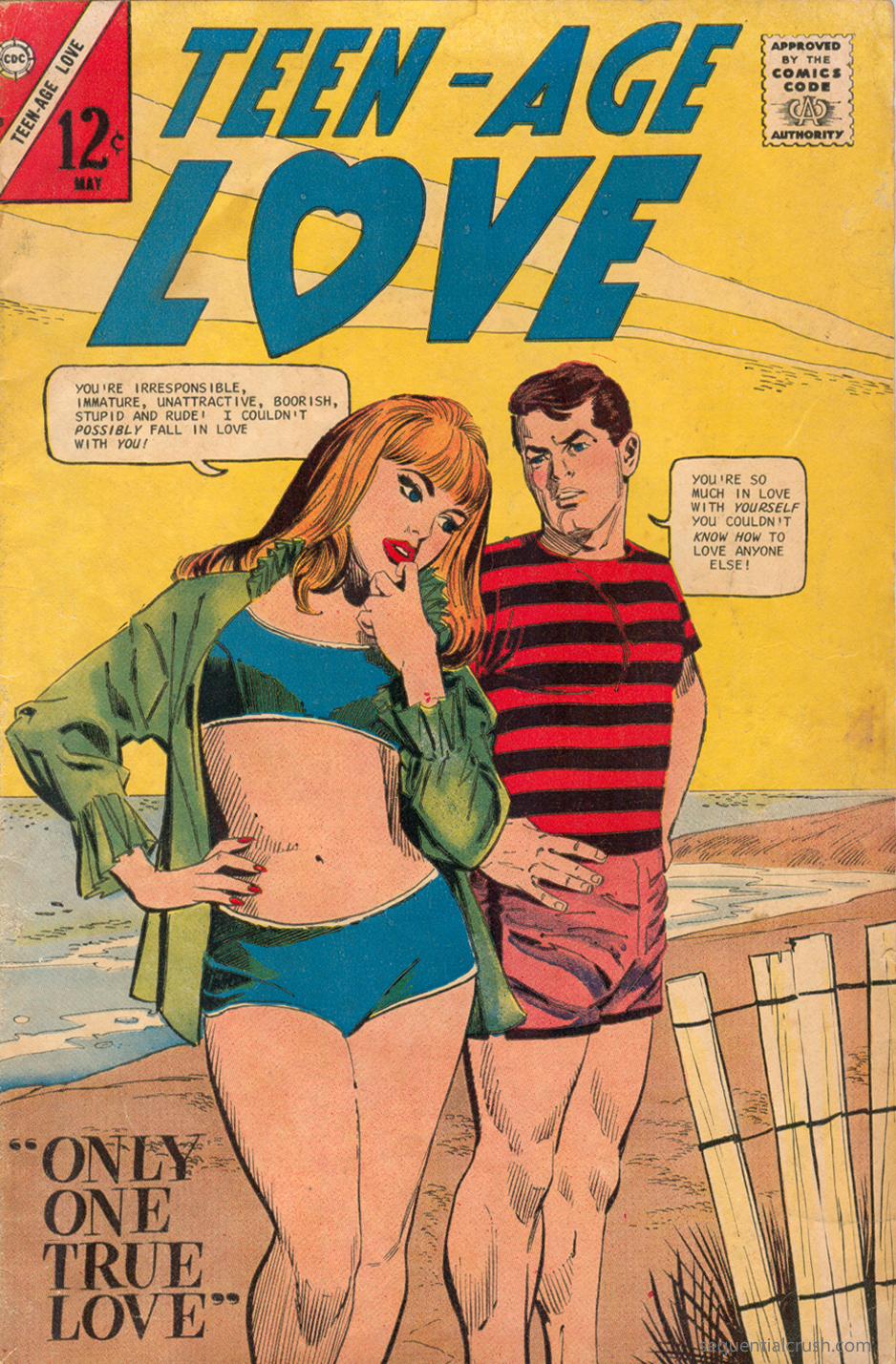 13 COVERS: Lusty Love Triangles on the Beach! 13th Dimension