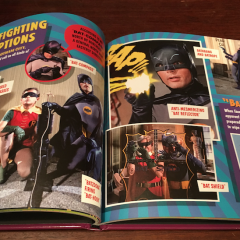 FIRST REVIEW — BATMAN: FACTS AND STATS from Titan Books