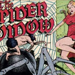 13 DAYS OF SUPER WEIRD HEROES: Spider Widow!