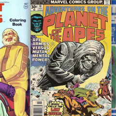 LOVE AFFAIR on the PLANET OF THE APES