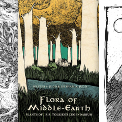 FOR THE SHIRE: 13 Beautiful New Images of TOLKIEN’S MIDDLE-EARTH