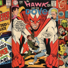 13 COVERS: The DC & Charlton Worlds of STEVE DITKO