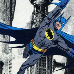 13 COVERS: A NORM BREYFOGLE Birthday Celebration