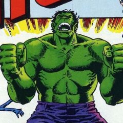 13 COVERS: A Salute to THE HULK