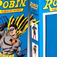 Custom MEGO Box of the Day #12: ROBIN OF EARTH-TWO