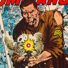 13 COVERS: A VETERANS DAY Salute With SGT. FURY