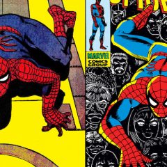 Dig This Groovy SPIDER-MAN: DITKO vs. ROMITA Webinar