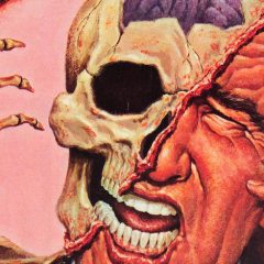 PAUL KUPPERBERG: My 13 Favorite SKYWALD COMICS Covers