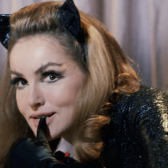 JULIE NEWMAR: The Day I Got the Call to Play CATWOMAN