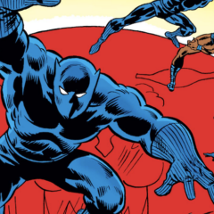 HOT PICKS! On Sale This Week!