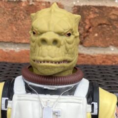 SCUM AND VILLAINY! Dig These 13 Beautiful Bits of BOSSK Bounty