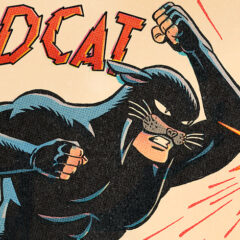 A SUNDAY FUNNIES DEBUT: Watch WILDCAT Sock Some Guy Right Out of His Pants