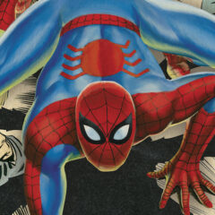 MARVEL and DARK HORSE Team Up For JOHN ROMITA AMAZING SPIDER-MAN Art Book — and MUCH MORE