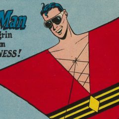 13 COVERS: JACK COLE’s PLASTIC MAN