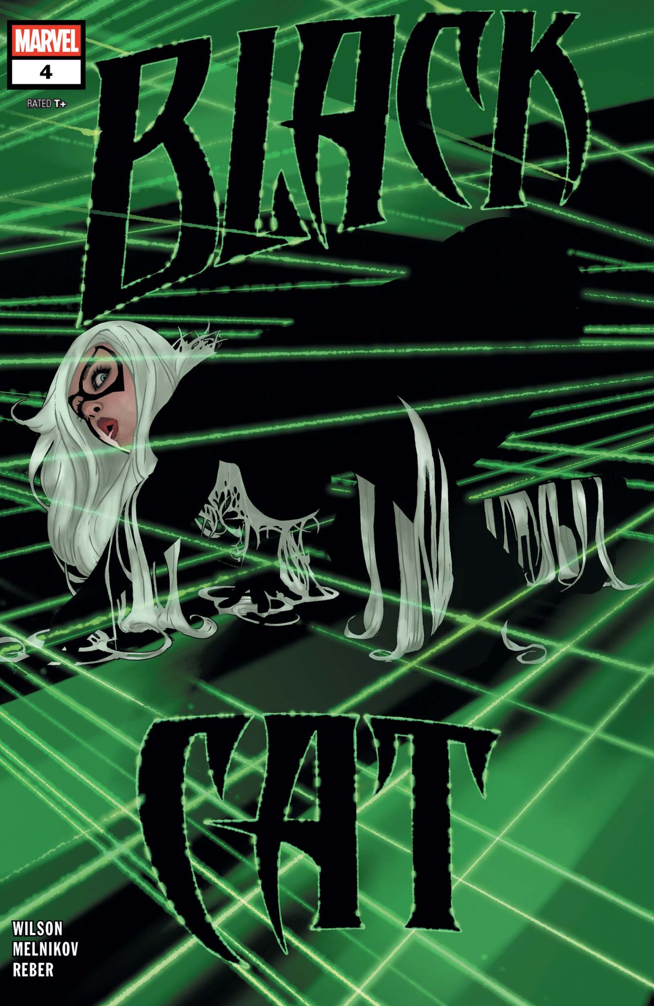 13 COVERS For FRIDAY THE 13TH The BLACK CAT Of ADAM HUGHES 13th 13-covers-for-friday-the-13th-the-black-cat-of-adam-hughes-13th