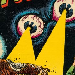 13 COVERS: The Astonishing, Uncanny, Weird Worlds of JOE MANEELY