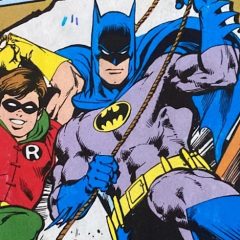 QUELLE COULEUR! Dig This Wild French ROBIN Costume