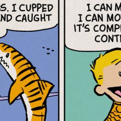 If AQUAMAN Took Over the FUNNIES